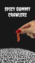 Load image into Gallery viewer, Halloween Collection 2022